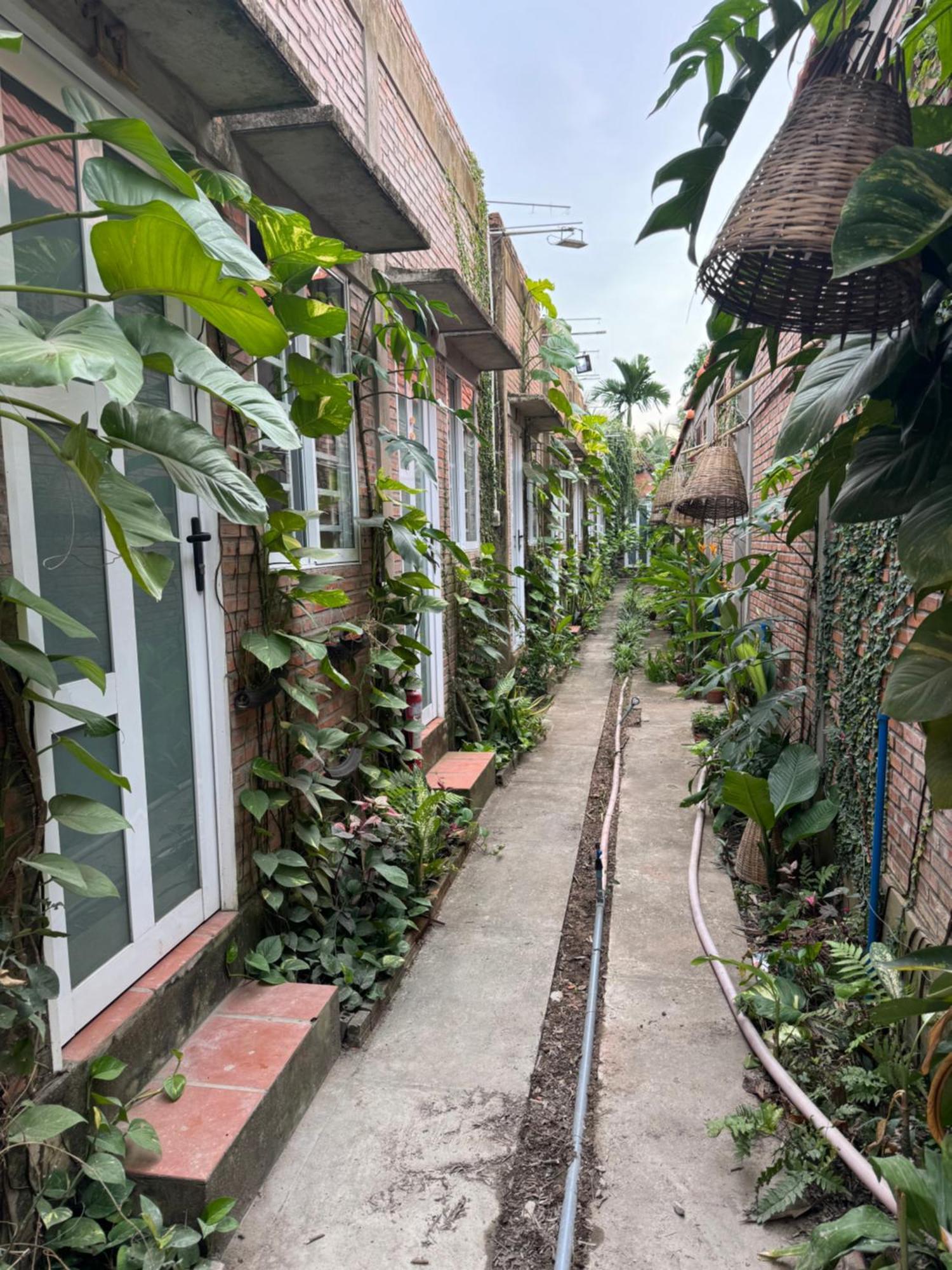 Bau Bi Mini Farmstay Mekong - Tien Giang My Tho Exterior foto